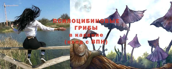 спиды Алексеевка
